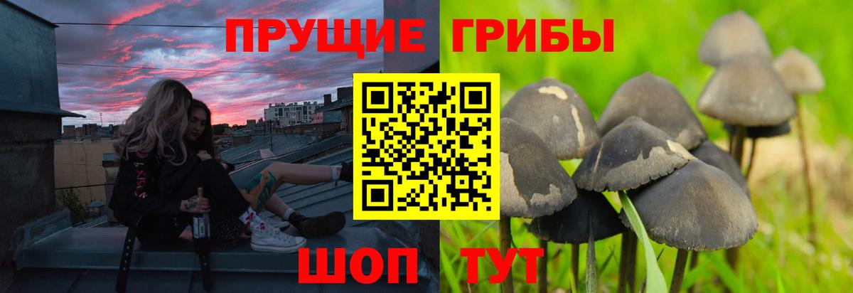 Псилоцибиновые грибы ЛСД Михайловка