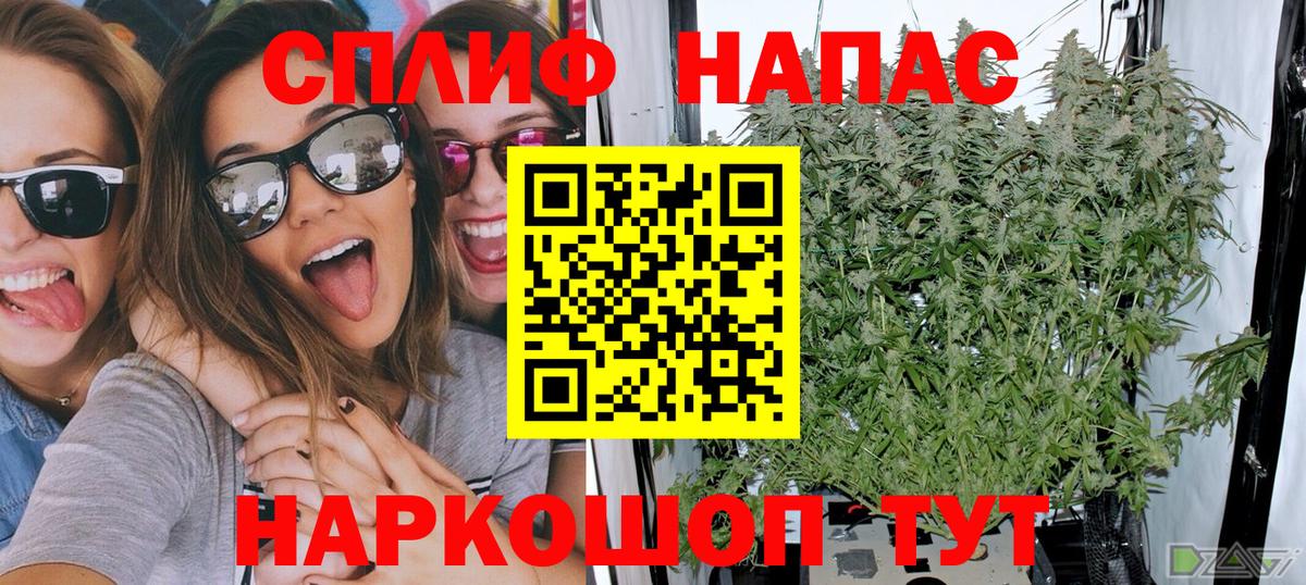Марихуана AK-47  Шишки марихуана гибрид  Михайловка  Бошки марихуана семена  Шишки марихуана Ganja  Вход с VPN 